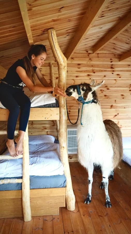 Cozy Wood Hut On The Farm Villa Trebivlice Ngoại thất bức ảnh
